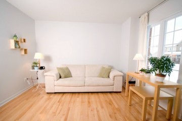 新房放洋蔥、柚子皮、綠植能去除甲醛嗎？