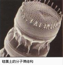 乳膠漆和硅藻泥，到底哪個更好？